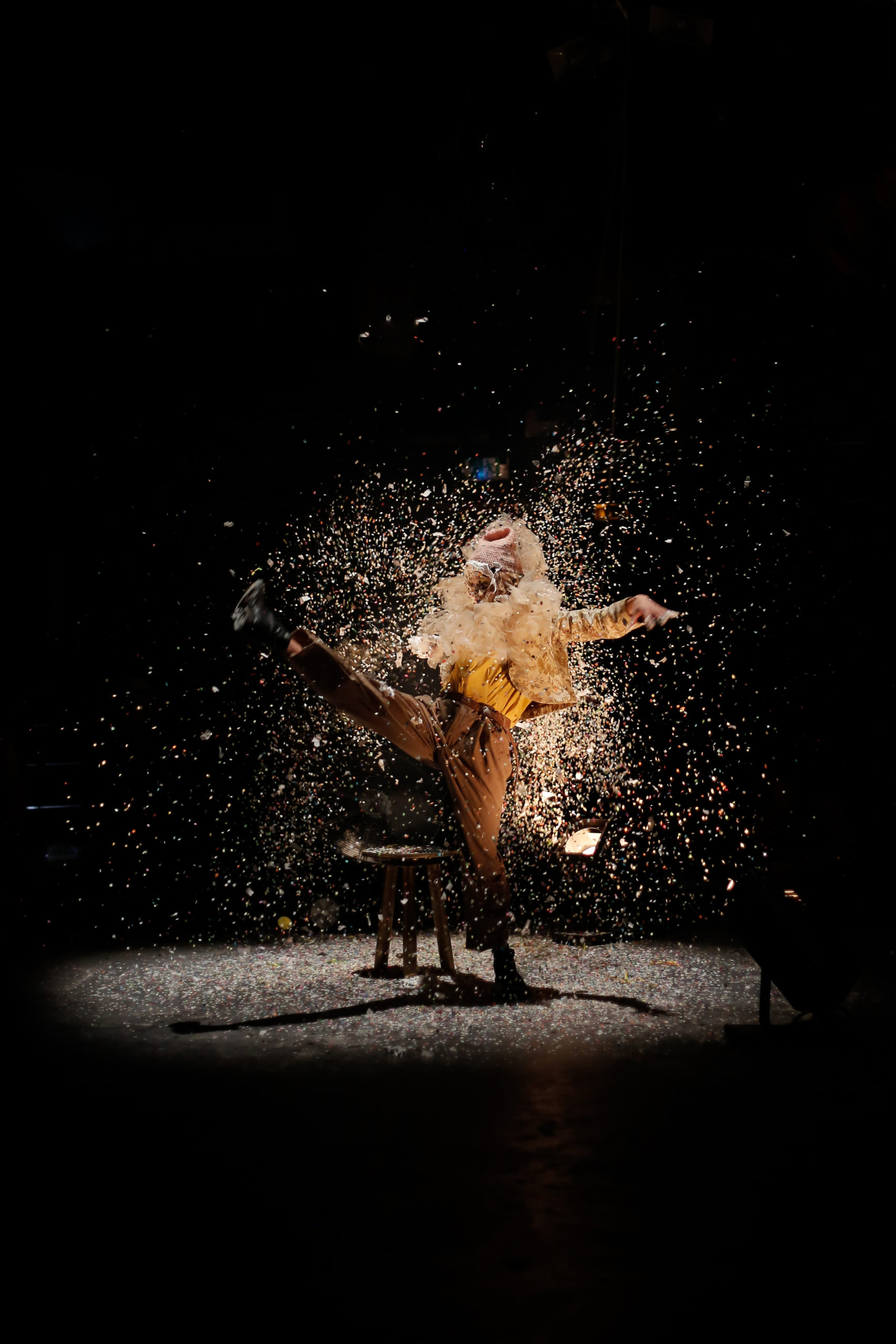 todm23-low-cost-paradise_01-c-circusography